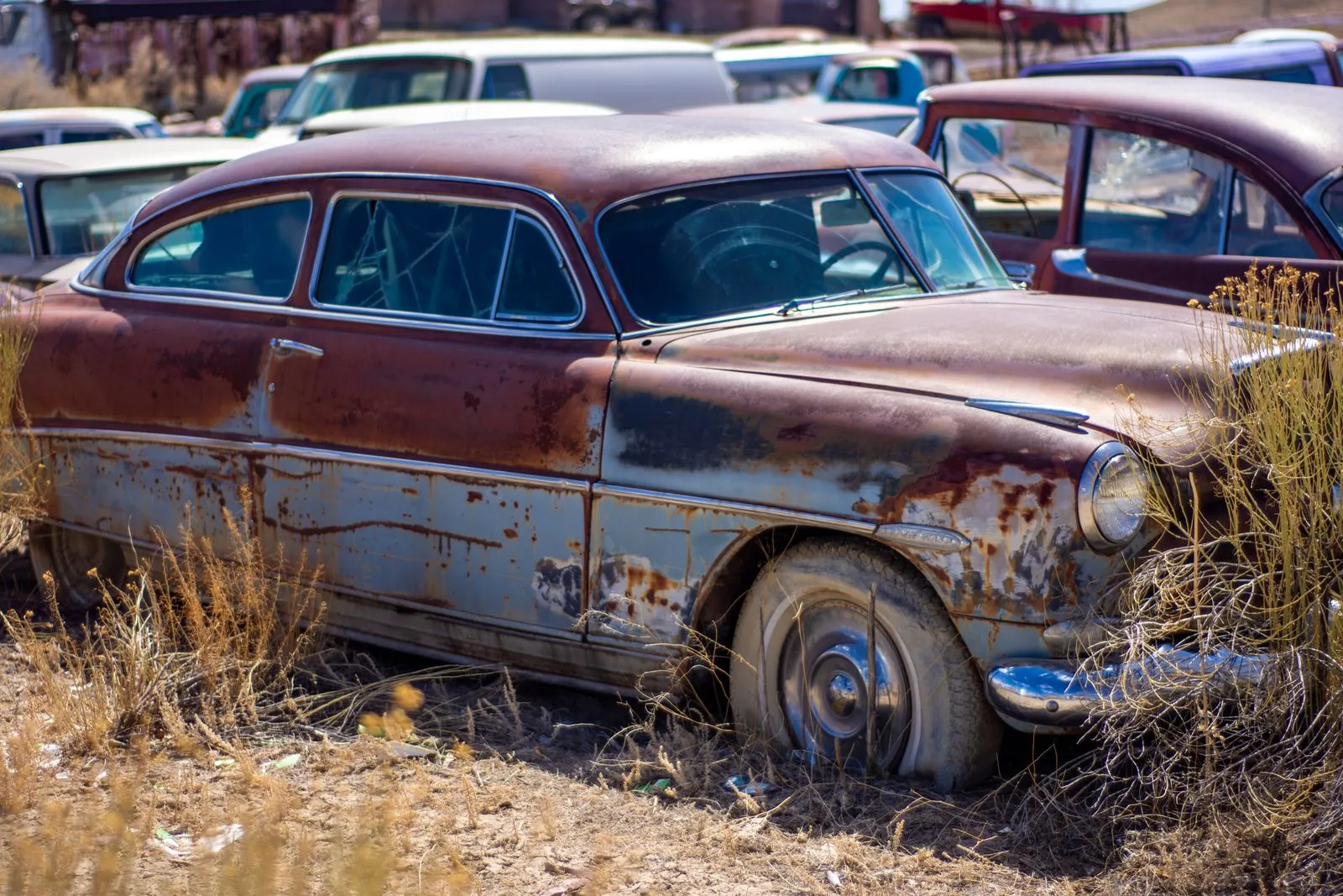 Rusted-out classic sedan sitting in dry grass among other old cars